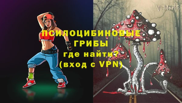 спиды Дмитриев